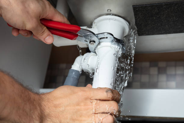 Best Fire Damage Restoration  in Bear Rocks, PA