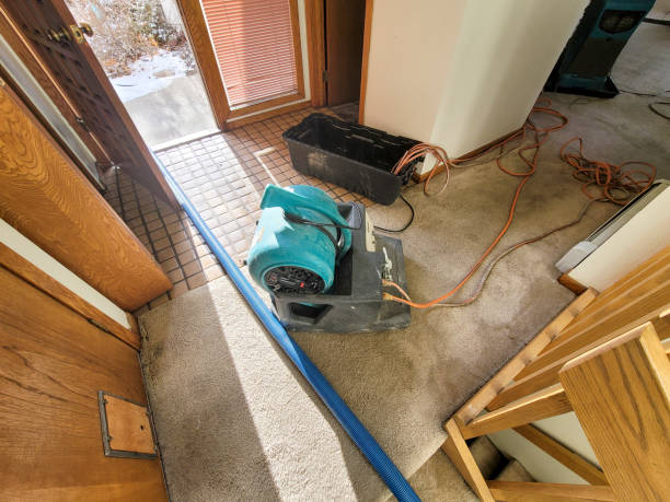 Best Local water damage restoration  in Bear Rocks, PA