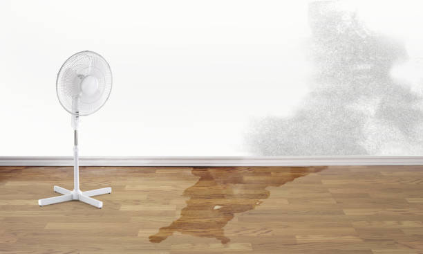 Best 24-hour water damage restoration  in Bear Rocks, PA