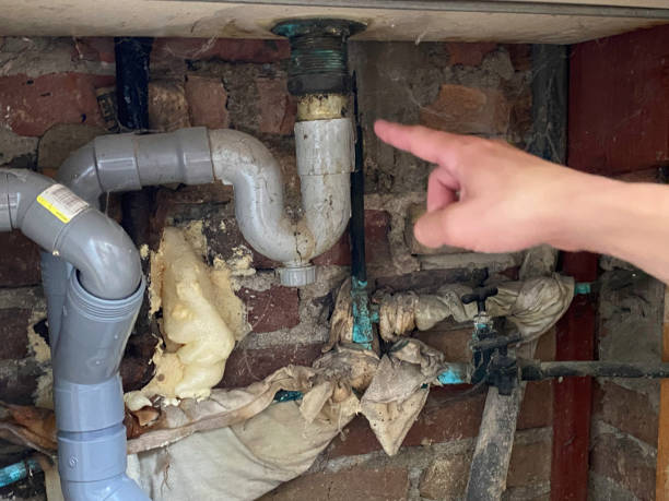 Best Water damage cleanup near me  in Bear Rocks, PA